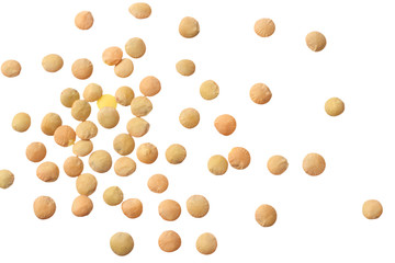 lentils isolated on white background. top view