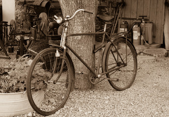 old rusty vintage bike near big tree trunk. Rural areas. Sepia