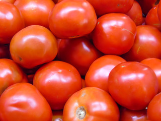 Fresh tomatoes fruits