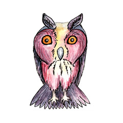Watercolor owl character