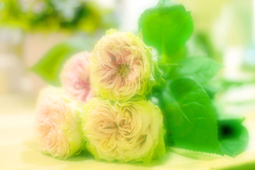 Unfocused flowers. Blurred floral background.