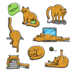 Drawing cartoon red cat in different poses and situation. Cute illustration of cat character isolated on the white backgound. 