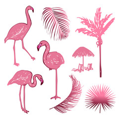Hand drawing sketch of pink flamingo birds with leaves and palm. Exotic tropical collection isolated on the white background.