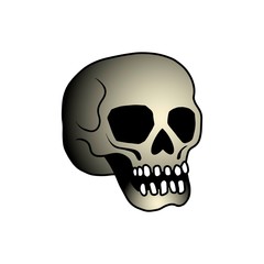 Cartoon vector skull. Skull Tattoo. Skull illustration.