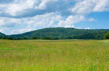Rural farmland view in Virginia USA © lindahughes