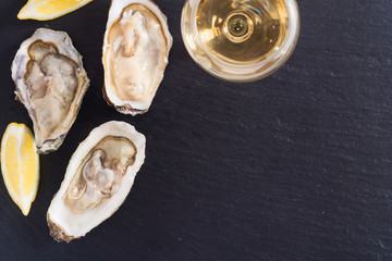 Fototapeta na wymiar Fresh Oysters with lemon and white wine