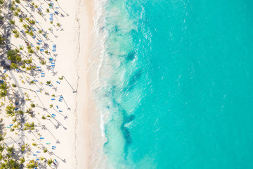 Aerial view from drone on caribbean seashore with coconut palm trees and sunbeds. Summer holidays