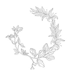 Pattern of fabulous colors. Isolated on white background.