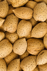 Hazelnut macro background