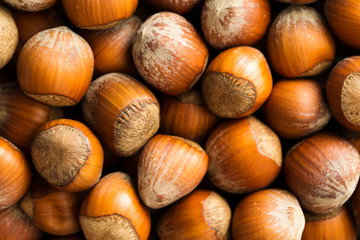 Hazelnut macro background