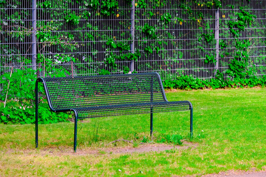 empty, single bench in a park or on a meadow