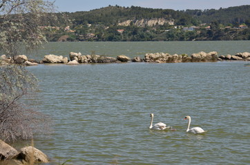 étang de l'Olivier, Istres, France
