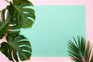 Tropical palm leaves and monstera on multicolor background. © Olena Bloshchynska