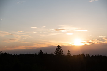 Sonnenuntergang über Wald