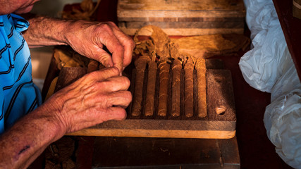 hands of an old man making cigars