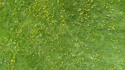 Aluminium Prints Grass Aerial view of a summer field with yellow flowers