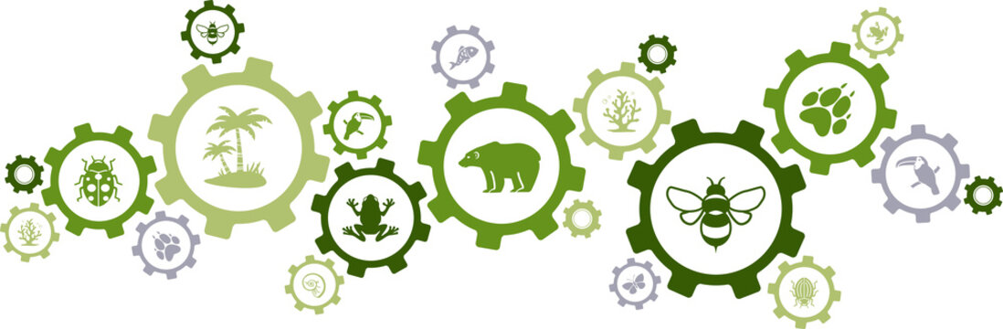 biodiversity icon concept – endangered species & wildlife icons, vector illustration