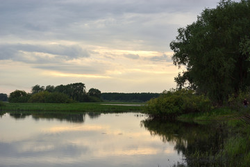View of a lake with a willow on the shore and a forest on the horizon with a cloudy sky. Evening landscape and reflection in the water.Lake Myachino Novgorod region