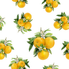 Watercolor hand drawn orange fruit seamless pattern.
