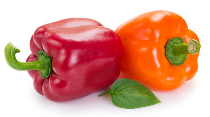 Fresh pepper on white background