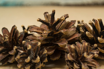A pile of fir cones lies on the craft background. The concept of winter and Christmas