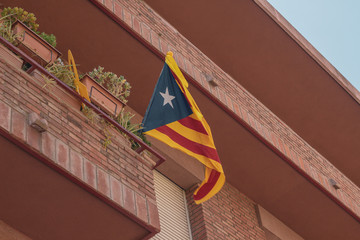Flag & Building