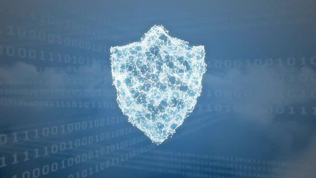 Digital composite of a digital shield and binary codes