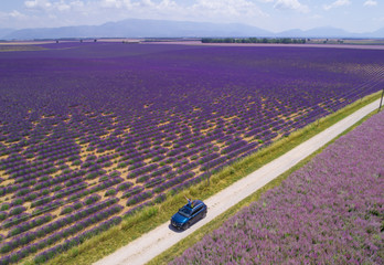 AERIAL Couple looks out car sunroof and outstretch arms while exploring Provence