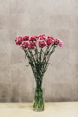A bouquet of pink carnations close up