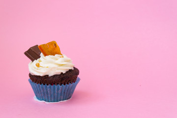 One delicious cupcake on a pink background. White air cream cake decorated with chocolate and candied fruit. Cupcake in a blue paper cup. The concept of holiday and birthday.
