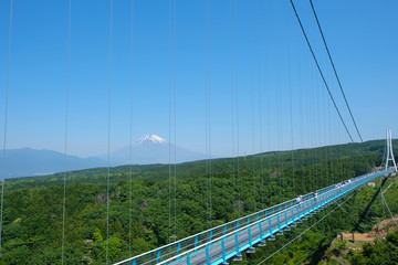 Obraz premium 三島大吊橋風景