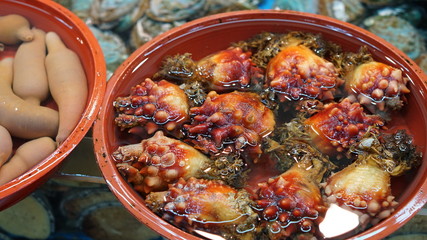 Fresh raw seafood in Jagalchi fish market in Busan in South Korea