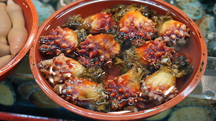 Fresh raw seafood in Jagalchi fish market in Busan in South Korea