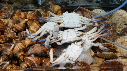 Fresh raw crabs in Jagalchi fish market in Busan in South Korea