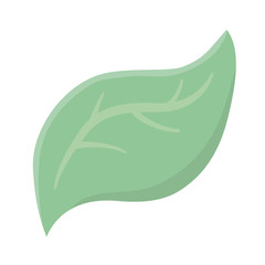 Isolated leaf design vector illustration