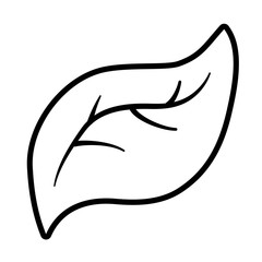 Isolated leaf design vector illustration