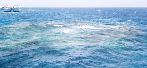 Africa Egypt White Island Ras Mohamed Red Sea, Sinai Peninsula.