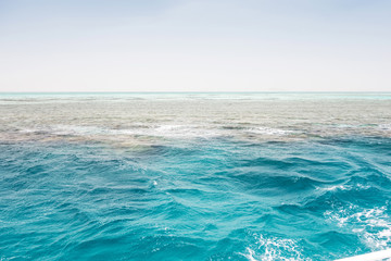 Red sea White Island Sea Seashore Sharm el Sheikh, Africa Egypt.