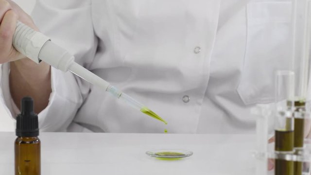 Checking a pharmaceutical CBD oil in a laboratory on watch glass
