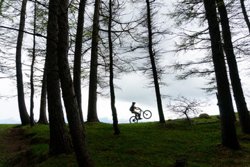 Riding a mountain bike on the edge of mountain forest woods on one wheel. Mountain biker climbing on bike in the mountains forest landscape. Cyclist on edge. Biker on trail in woods doing wheelie. 