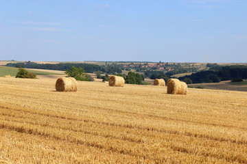 Feld mit Heuballen, Strohballen