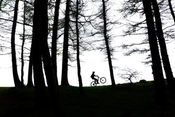 Riding a mountain bike on the edge of mountain forest woods on one wheel. Mountain biker climbing on bike in the mountains forest landscape. Cyclist on edge. Biker on trail in woods doing wheelie. 