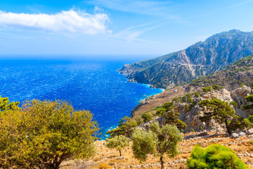 Green pine trees on high cliffs above sea on Karpathos island, Greece