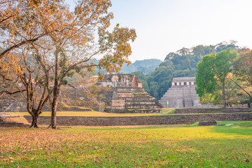 The ancient pyramids of Palenque, a Mayan Archaeological Site in Chiapas, Mexico