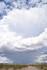 Obraz premium Arizona monsoon season