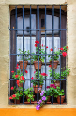 Fototapeta na wymiar Typical Andalusian window with bars and clay flowerpots