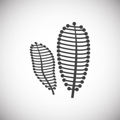 Coral icon on background for graphic and web design. Simple illustration. Internet concept symbol for website button or mobile app.