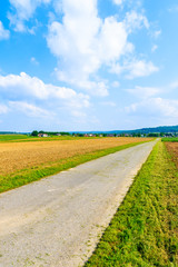 Fototapeta na wymiar Rural road and green fields in spring landscape of Burgerland near Strem village, Austria