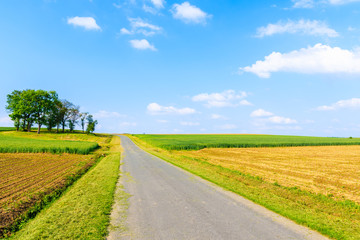 Rural road and green fields in spring landscape of Burgerland near Strem village, Austria