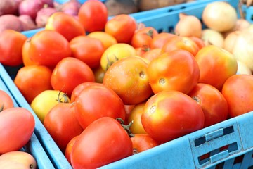 fresh tomatoes at the market